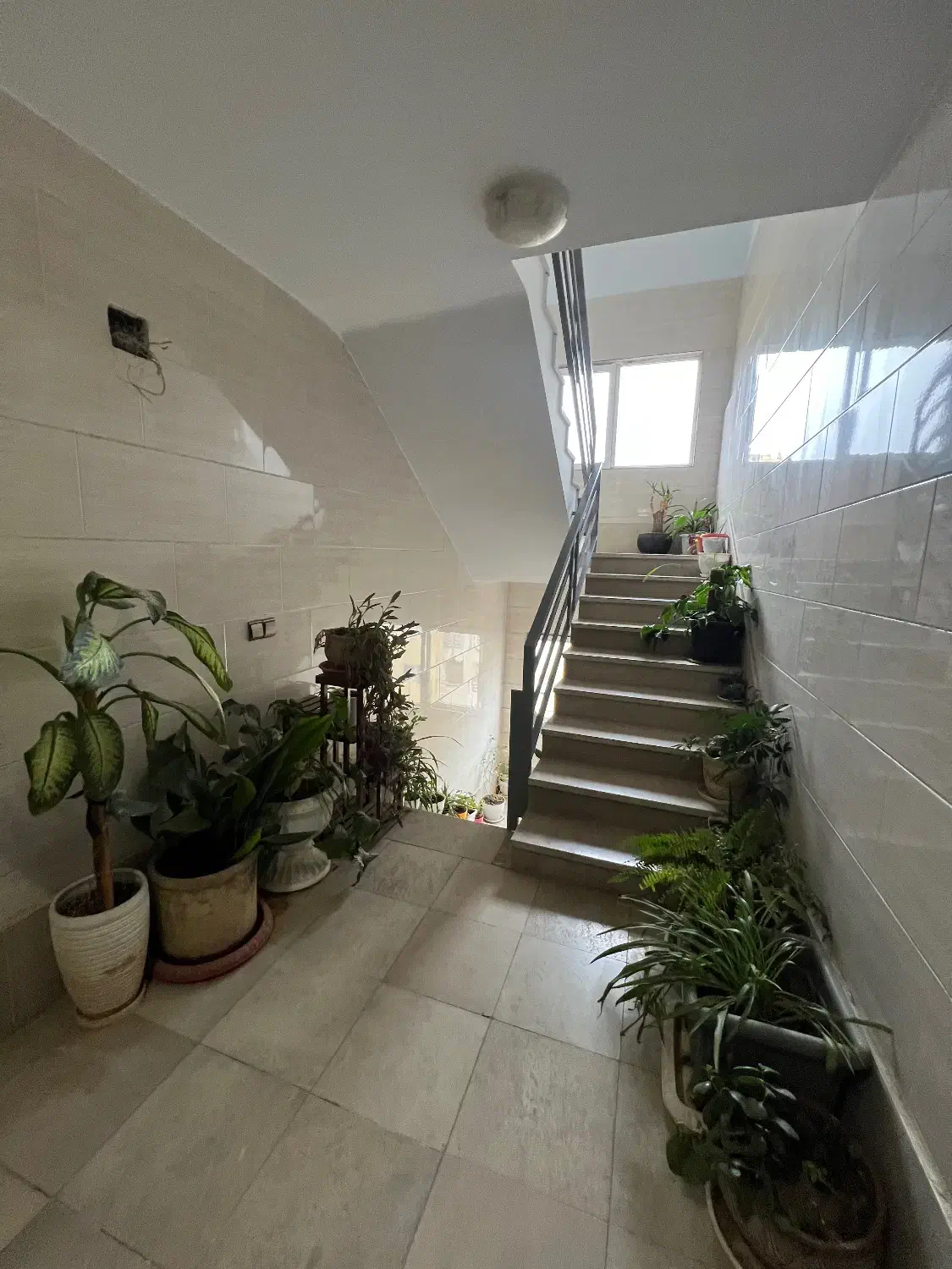 فاز ۳/ هسا / آشپزخانه متوسط /بدون واسطه خرید کنید