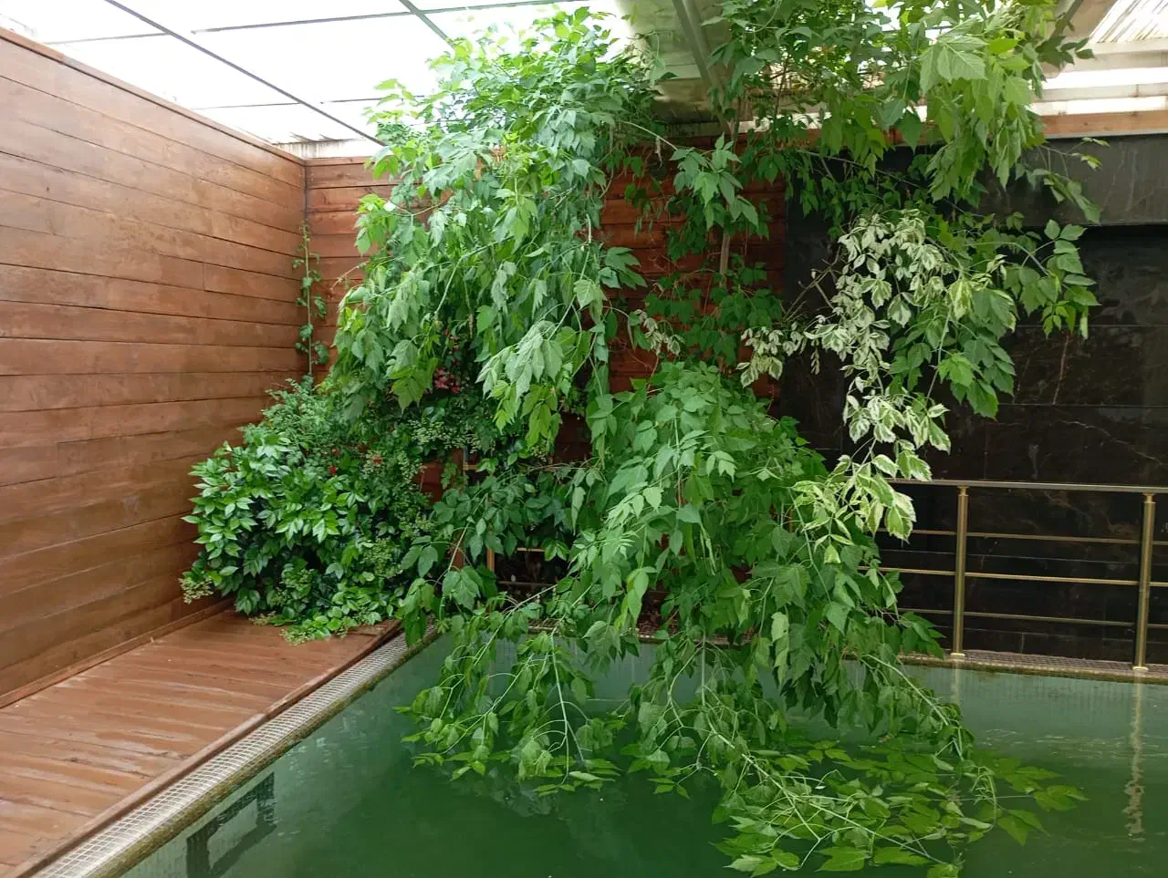 ویلایی اجاره/ ۳۰۰ متر/ ۲ خواب/ فاز ۱