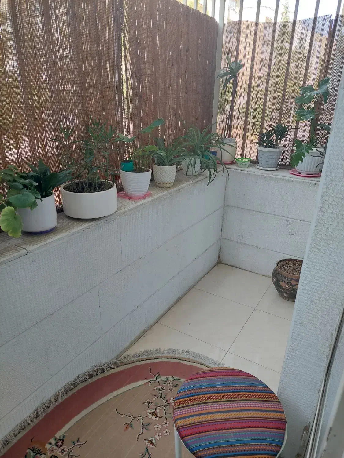 فاز یک میدان عدالت ۱۱۷متر سند تک برگ ۵.۳۰۰