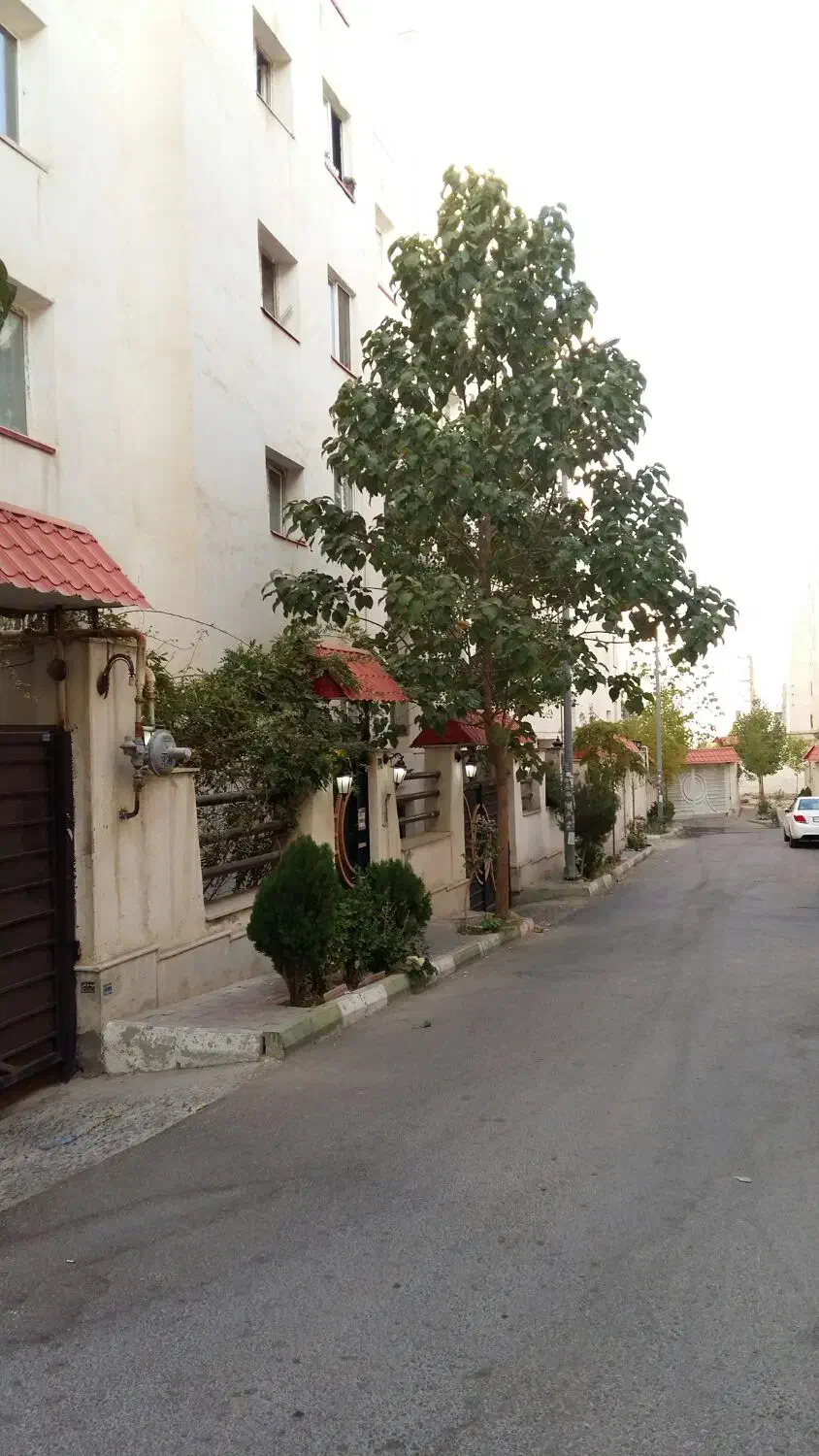 فاز 8پردیس/امیرساوالان/فول لاکچری